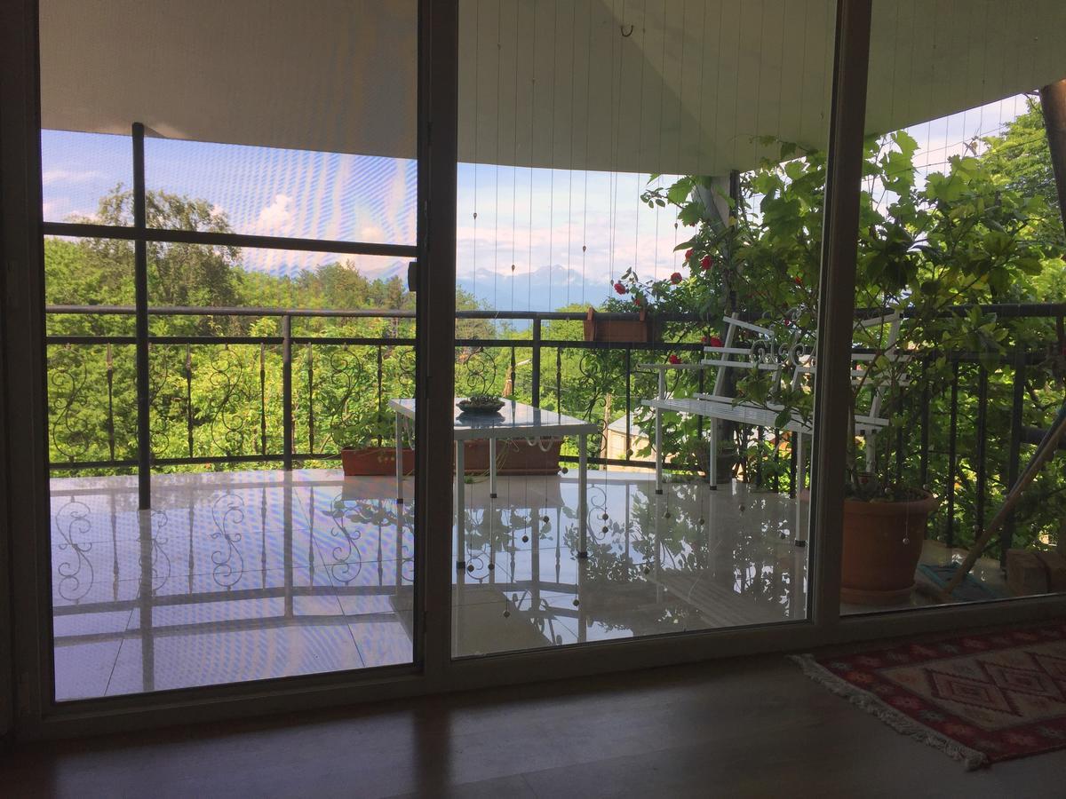 Nino'S Veranda Apartment Telavi Ngoại thất bức ảnh